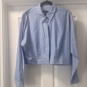 Rag & Bone Cropped Blue & White Stripe Down Shirt Size L